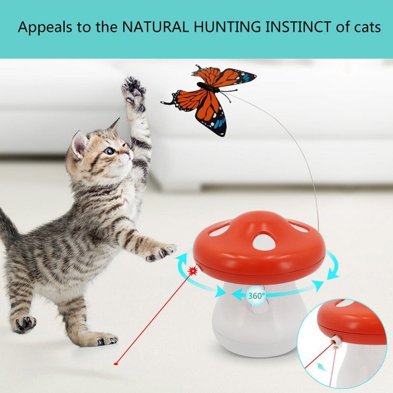 Interactive Cat Toy