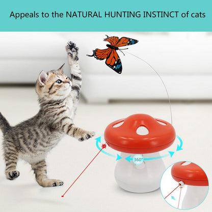 Interactive Cat Toy